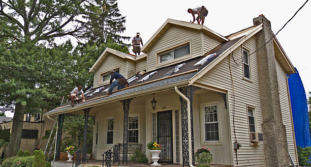 Roof Gutter Cleaning in Round Lake Beach, IL